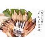 干物 氷見 堀与 一夜干し5種とほたるいかの沖漬