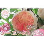 ふるさと納税 もも 福�