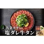 ふるさと納税 牛肉 タン 京都府 木津川市  お歳暮 大盛九条ネギ 塩ダレ牛タン500g 薄切り 牛タン 九条ねぎ 特製塩だれ 牛たん 小分け 12月13日〜12月20日以内…