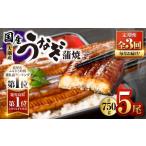 うなぎ 2082-1 全3回定期便 大隅産うなぎ蒲焼 5尾