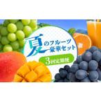 ショッピングせとか ふるさと納税 長崎県 南島原市 【2024年7月〜発送！】【3回 定期便 】マンゴー ＆ シャインマスカット ＆ ぶどう & せとか 100% ストレートジュース の豪…