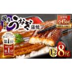 うなぎ 2083-1 全6回定期便 大隅産うなぎ蒲焼 8尾
