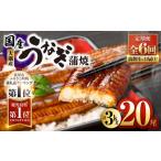 うなぎ 2084-1 全6回定期便 大隅産うなぎ蒲焼 20尾