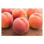 ふるさと納税 もも 山形県 天童市 08-08-014　もも（黄金桃）3kg