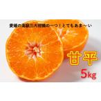 ショッピング甘平 ふるさと納税 果物類 みかん 愛媛県 愛南町 先行予約 甘平5kg 精品 家庭用 みかん 蜜柑 甘平 ポンカン 高級 紅まどんな せとか 人気 ブランド 柑橘 果物 フル…