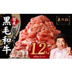 ふるさと納税 牛肉 大阪府 泉佐野市 3パック 味付け 黒毛和牛切り落とし 1.2kg 小分け 400g×3 訳あり 部位不揃い 特別寄附金額