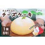 ケーキ カステラ チーズケーキ たんがら山のチーズケーキ