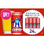 ふるさと納税 ビール 大阪府 泉佐野市  訳あり 裏通りのドンダバダ 24本 クラフトビール お酒 beer びーる 宅飲み 家飲み 高評価 ふるさと納税限定 泉佐野オリ…