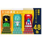 ふるさと納税 ビール 大阪府 泉佐野市 クラフトビール 飲み比べ 3種 48本セット よなよなエール 350ml 缶 ビール びーる お酒 さけ BBQ 飲み比べ 晩酌 微アル …