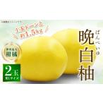 柑橘セット 6品以上