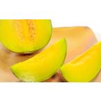 ショッピングふるさと納税 メロン ふるさと納税 メロン メロン青肉 島根県 益田市  先行予約 益田産 あまーいアムスメロン 2玉（秀品） メロン 秀品 先行予約 アムスメロン めろん 2玉 季節限定…