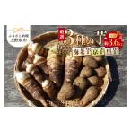 人参 大根 他根菜 2026年 2026年度収穫分