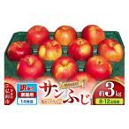 ふるさと納税 りんご 青森県 弘前市  26年1月発送 りんご 訳あり家庭用 年明け発送 葉取らず サンふじ 約3kg（8〜12玉程度）青森県特別栽培農産物認証農園