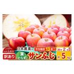 ふるさと納税 りんご 青森県 弘前市  26年2月発送 りんご 平均糖度13度以上 葉とらずサンふじ 約5kg 訳あり 青森 果物 フルーツ 林檎 リンゴ くだもの 不揃い …