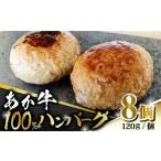 牛肉 ハンバーグ あか牛 100% 120g
