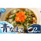魚貝類 素潜り漁師直送 マガキ貝 チャンバラ貝 2kg