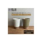 食器 グラス セット 萬古焼 デイリーカップ