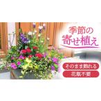 花 季節の寄せ植え 花わたひき お花 季節の花