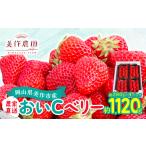 ふるさと納税 いちご 岡山県 美作市 岡山県美作市産 おいCベリー(約280g×4パック) 1464411