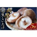 fu.... налог овощи вид .. . Wakayama префектура рисовое поле сторона город дракон бог mash. сырой ....5 пакет комплект | мясо толщина нет пестициды . пол культивирование .. . шиитаке .. Wakayama префектура рисовое поле сторона город mas002