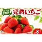 果物の詰合せ 2ヶ月定期便 いちご 約 260g