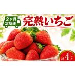 いちご 2ヶ月定期便 約 260g