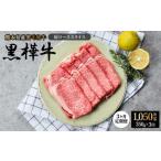 牛肉 ロース 令和8年熊本地震復興支援 1ヶ月毎3回定期便