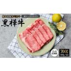 牛肉 ロース 令和8年熊本地震復興支援 1ヶ月毎2回定期便