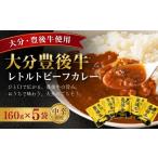 加工品等 レトルト レトルトカレー 豊後牛レトルトカレー16…