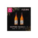 焼酎 いも 包装対応 天星酒造 本格芋焼酎 天星宝島1.8L×2本…