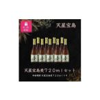 焼酎 麦 包装対応 天星宝島麦720ml×9本セット