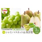 ふるさと納税 梨 山形県 東根市 2025年 東根市産 シャインマスカット秀品＆西洋梨3kg詰め合わせ 山形県 東根市 　hi027-168-1