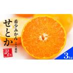 ふるさと納税 みかん・柑橘類 愛媛県 愛南町 先行予約 訳あり せとか 3kg ハウス栽培 柑橘 フルーツ 果物 蜜柑 みかん くだもの mikan かんきつ オレンジ せと…