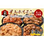 牛肉 ホルモン 4ヶ月定期便 全国ホルモン大会初代優勝
