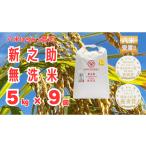 無洗米 9か月定期便 新之助 令和8年産 新米予約