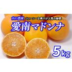 ショッピング甘平 ふるさと納税 果物類 みかん 愛媛県 愛南町 先行予約 愛南マドンナ 5kg 精品 まどんな 紅まどんな 愛果28号 みかん 蜜柑 甘平 せとか 高級 人気 ブランド 柑橘…