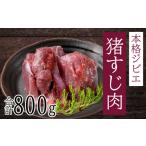 牛肉 ホルモン 愛南ジビエの猪 すじ 肉 800g