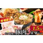 豚肉 バラ 16-94 喜多牧場の豚肉3種ダブルセット