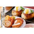 ショッピングふるさと納税 ハンバーグ ふるさと納税 豚肉 ハンバーグ 鹿児島県 枕崎市 黒豚手作りハンバーグ&さつま揚げ詰め合わせ A3-141_黒豚 ハンバーグ 手づくり さつま揚げ 詰合せ セット …