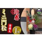 花 苗木 門松 ミニ 寄植え 6号 ロング 鉢入り
