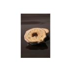焼菓子 チョコレート バウムクーヘン ミニ