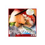 旬の鮮魚等 オリーブハマチ 冷凍 柵4本 B-53