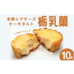 ケーキ カステラ チーズケーキ 栃乳菓 10個