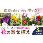花 3ヶ月定期便 フォーシーズン お花の寄せ植え