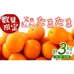 ふるさと納税 みかん・柑橘類 宮崎県 日南市 先行予約 完熟きんかん たまたま 計3kg以上 (3kg×1箱) 希少 期間限定 数量限定 フルーツ 果物 くだもの 柑橘 金…