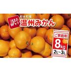 ふるさと納税 果物類 みかん 熊本県 和水町  訳あり 2L〜3L 温州みかん 和水町産 ご家庭用 8kg | みかん ミカン 早生 温州 大小混合 柑橘 柑橘類 フルーツ 果…