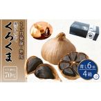 野菜類 加工品 黒にんにく くろくま青L小 計24個