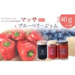 人参 大根 他根菜 パプリカ 調味料 マッサ 塩