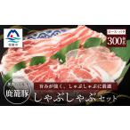産豚 ロースうす切り 300g×2