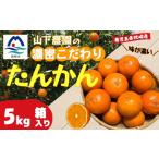 みかん 柑橘類 枕崎産 山下農園の濃密こだわりたんかん